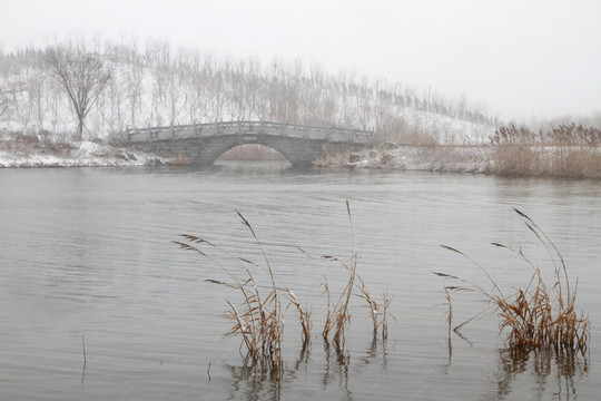 湿地公园雪景