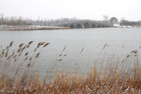 湿地公园雪景