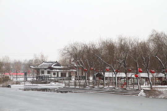 湿地公园雪景