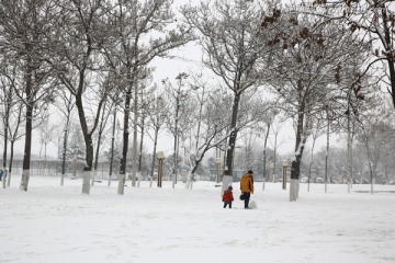 雪景