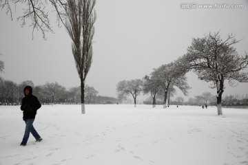 雪景