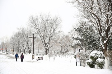 雪景