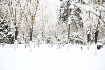 雪景