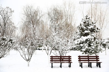 雪景