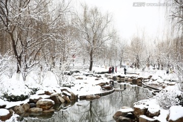 雪景