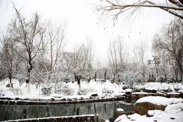 雪景