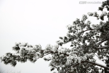 雪景