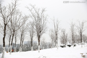 雪景