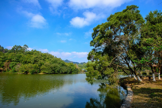 蓝天绿树湖岸