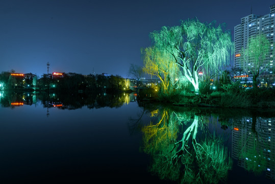 公园夜景