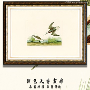 地中海鳥(niǎo)類油畫 高清品質(zhì)