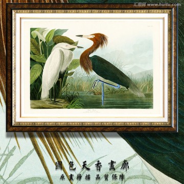 地中海鳥類油畫 高清品質(zhì)