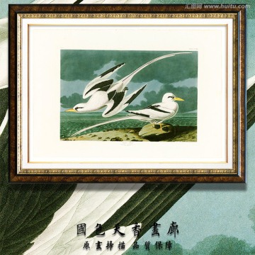 地中海鳥類油畫 高清品質(zhì)