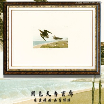 淡雅花鳥(niǎo)油畫 畫廊品質(zhì)