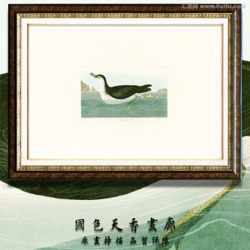 高清鸟类油画 画廊品质