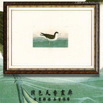 高清鸟类油画 画廊品质