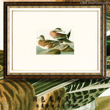 鳥(niǎo)類油畫(huà) 高清掃描圖片