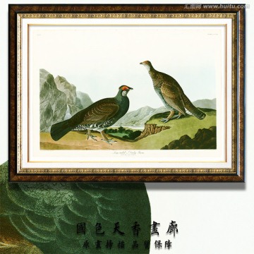 鳥類油畫 高清掃描圖片