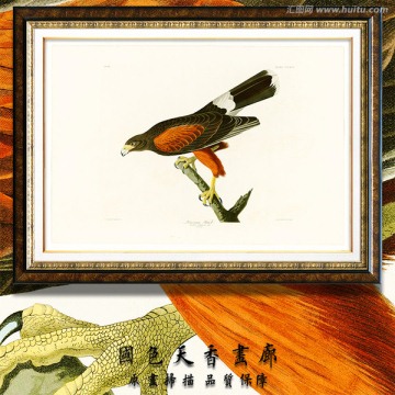 鳥(niǎo)類油畫(huà) 高清掃描圖片