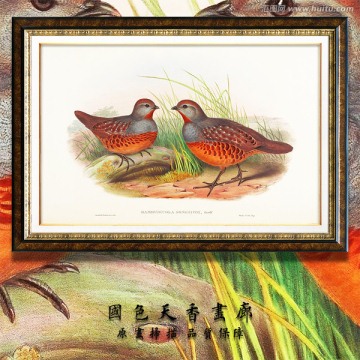 古典花鳥油畫 畫廊品質(zhì)