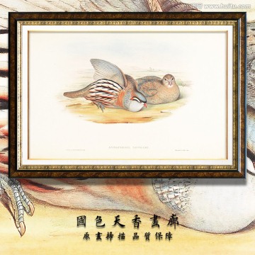 古典花鳥油畫 畫廊品質(zhì)