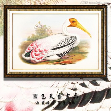 高清花鳥 畫廊品質(zhì)
