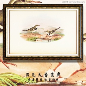 手繪花鳥(niǎo) 畫(huà)廊品質(zhì)
