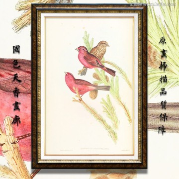 山雀 高清花鸟油画 画廊专用