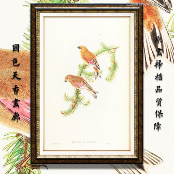 高清花鸟油画 画廊专用