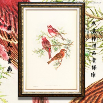 高清花鳥油畫 畫廊專用