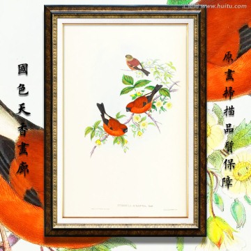 高清花鳥油畫 畫廊專用