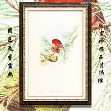 高清花鳥油畫 畫廊專用