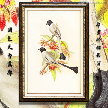 高清花鳥(niǎo)油畫 畫廊專用