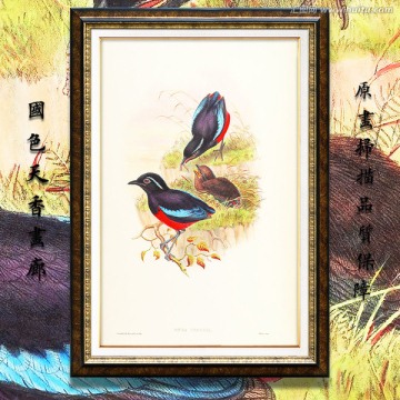 古典花鸟油画 画廊品质