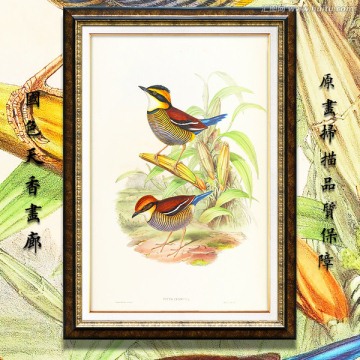 古典花鸟油画 画廊品质