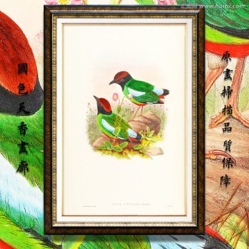 古典花鸟油画 画廊品质