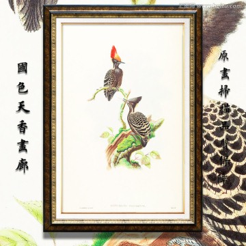 花鸟油画 画廊品质