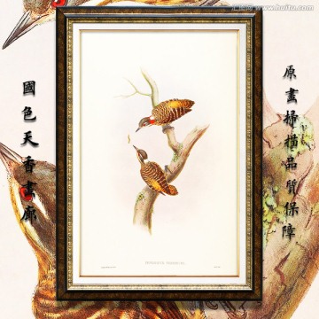 打鱼郎 古典花鸟油画 画廊品质