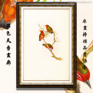 花開富貴 花鳥油畫