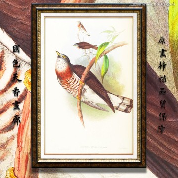 花開(kāi)富貴 花鳥(niǎo)油畫(huà)