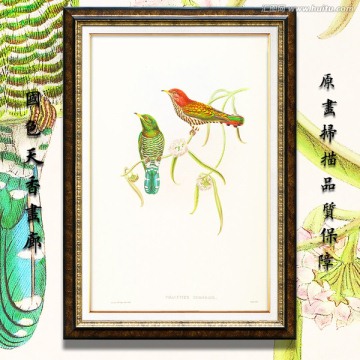 花開富貴 花鳥油畫