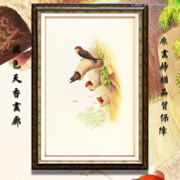 可愛燕子鳥類繪畫 高清品質(zhì)