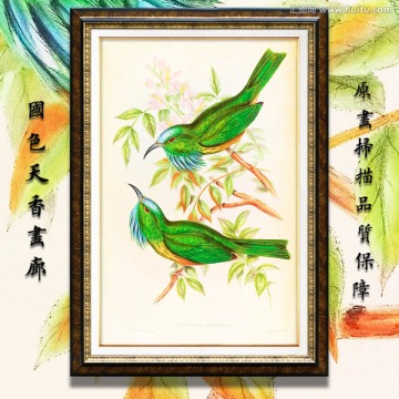 花鳥屏風(fēng)玄關(guān)畫 高清品質(zhì)