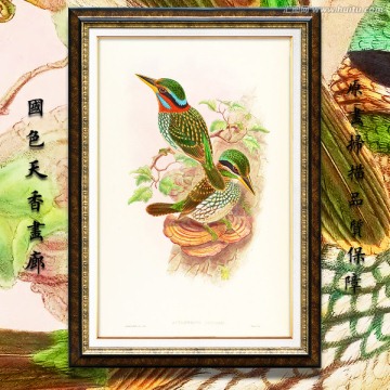 翠鳥 高清花鳥油畫