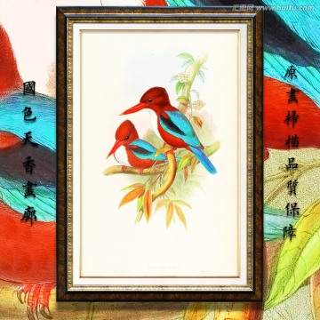 翠鳥(niǎo) 高清花鳥(niǎo)油畫(huà)