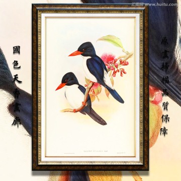 花鳥屏風玄關畫 高清品質(zhì)