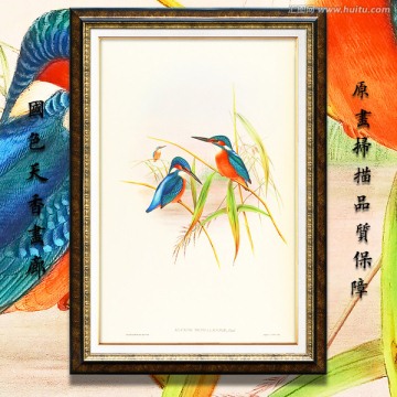 翠鳥 高清花鳥油畫