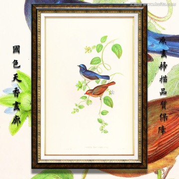 花鳥 畫廊高清品質