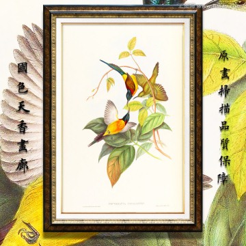 鳥語花香 畫廊高清品質(zhì)