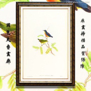 鳥語花香 畫廊高清品質